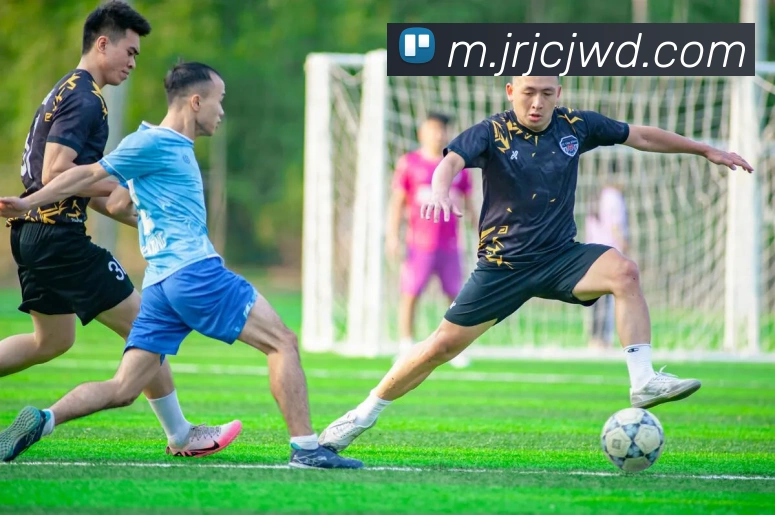 问鼎28平台生态图